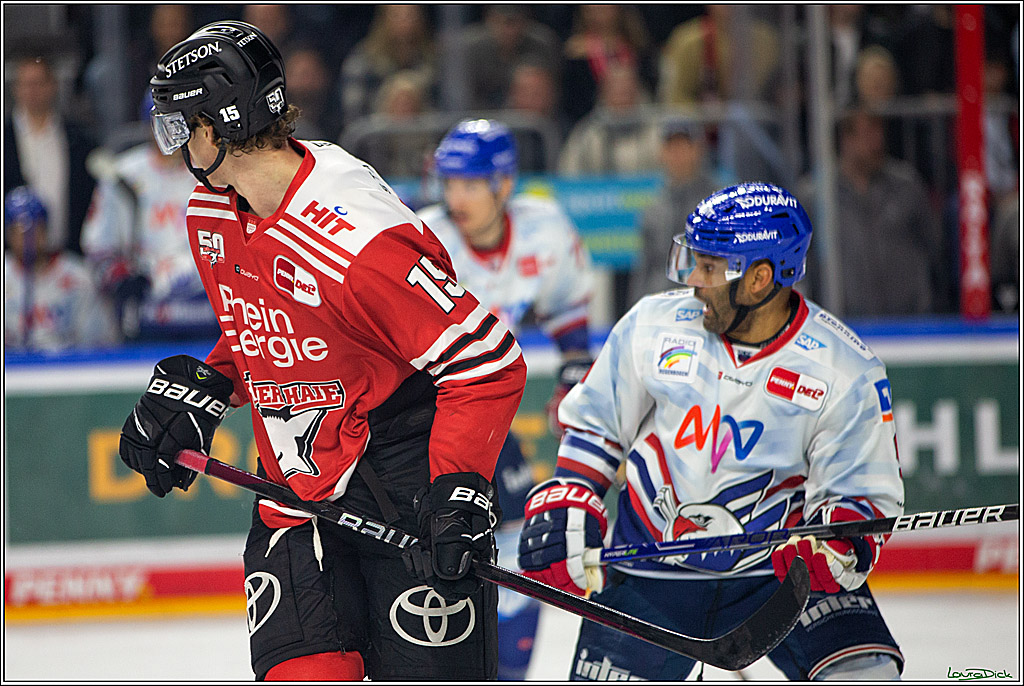PENNY DEL; Koelner Haie- Adler Mannheim; Koeln, 04.11.2022